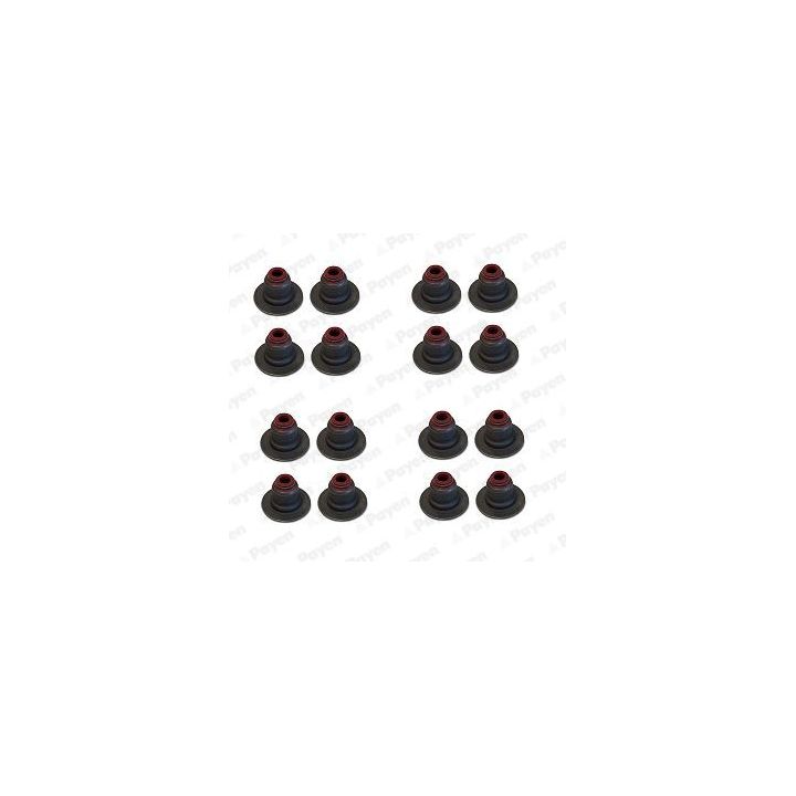 Tarpiklių komplektas, vožtuvo šerdis PAYEN HR5126