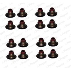 Tarpiklių komplektas, vožtuvo šerdis PAYEN HR5127