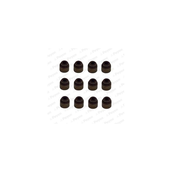 Tarpiklių komplektas, vožtuvo šerdis PAYEN HR5133