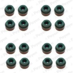 Tarpiklių komplektas, vožtuvo šerdis PAYEN HR5138