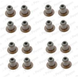 Tarpiklių komplektas, vožtuvo šerdis PAYEN HR5140