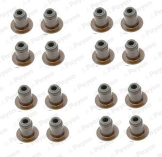 Tarpiklių komplektas, vožtuvo šerdis PAYEN HR5140