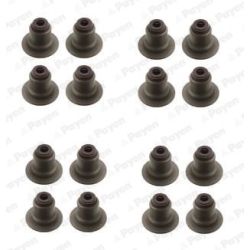 Tarpiklių komplektas, vožtuvo šerdis PAYEN HR5141