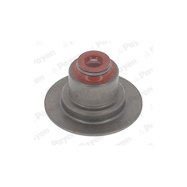 Tarpiklių komplektas, vožtuvo šerdis PAYEN HR5145