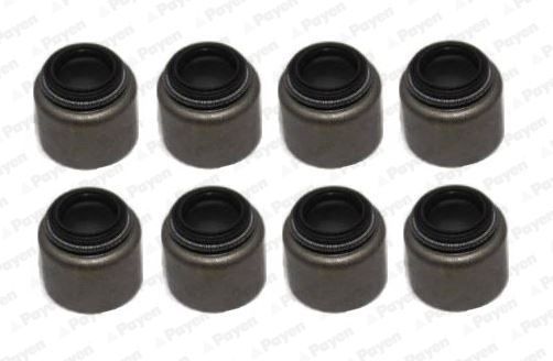 Tarpiklių komplektas, vožtuvo šerdis PAYEN HR5153