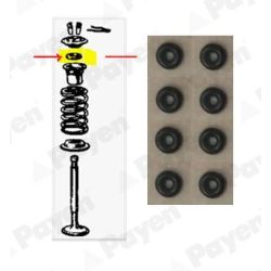 Tarpiklių komplektas, vožtuvo šerdis PAYEN HR619