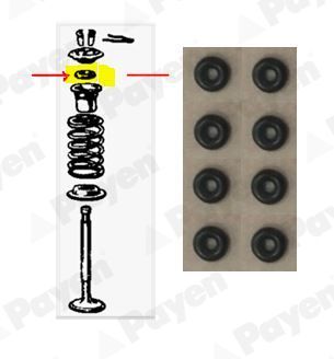 Tarpiklių komplektas, vožtuvo šerdis PAYEN HR619