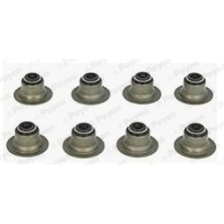 Tarpiklių komplektas, vožtuvo šerdis PAYEN HR656