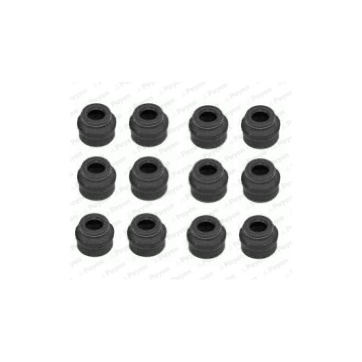 Tarpiklių komplektas, vožtuvo šerdis PAYEN HR662