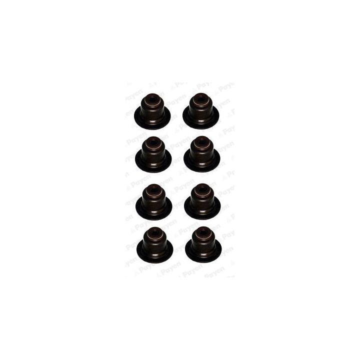 Tarpiklių komplektas, vožtuvo šerdis PAYEN HR809