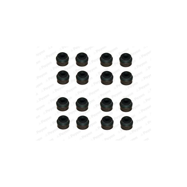 Tarpiklių komplektas, vožtuvo šerdis PAYEN HR814