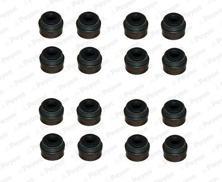 Tarpiklių komplektas, vožtuvo šerdis PAYEN HR814