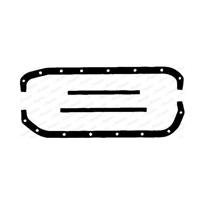 Tarpiklių rinkinys, alyvos karteris PAYEN HC027