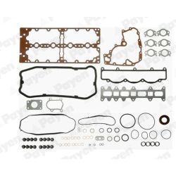 Visas tarpiklių komplektas, variklis PAYEN FB5721