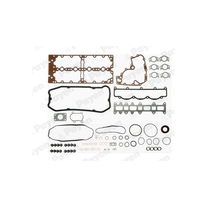 Visas tarpiklių komplektas, variklis PAYEN FB5721