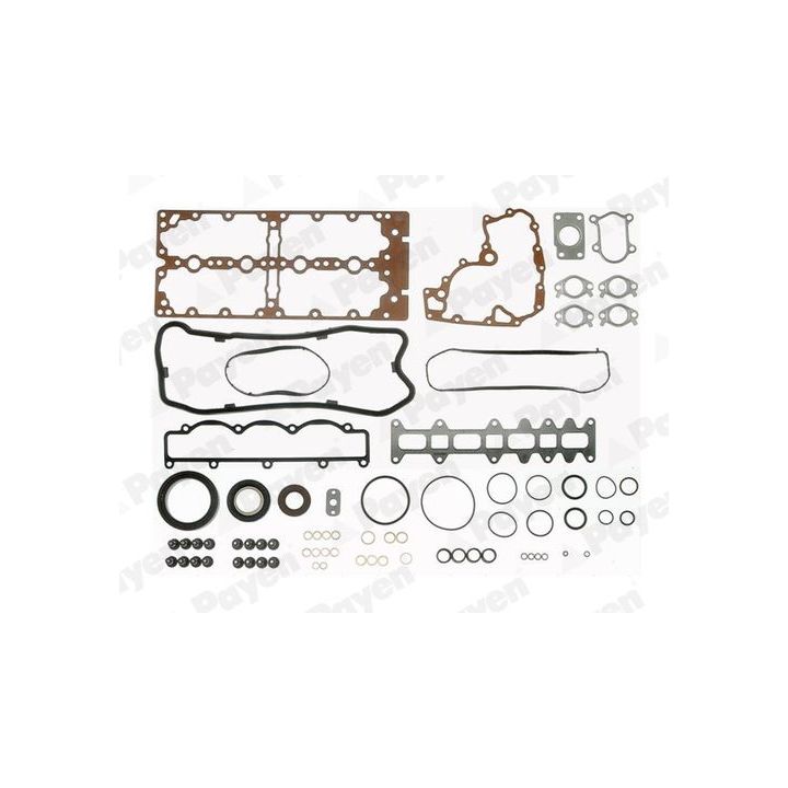 Visas tarpiklių komplektas, variklis PAYEN FB5722