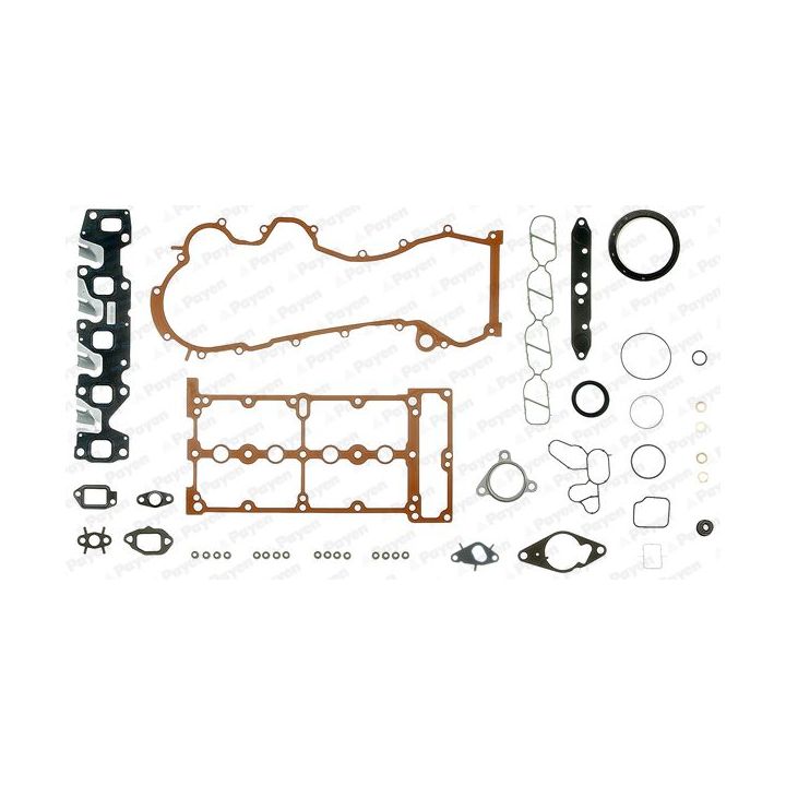 Visas tarpiklių komplektas, variklis PAYEN FD5820