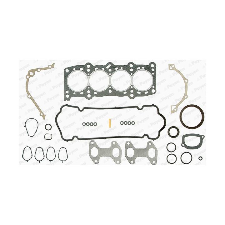 Visas tarpiklių komplektas, variklis PAYEN FE5240