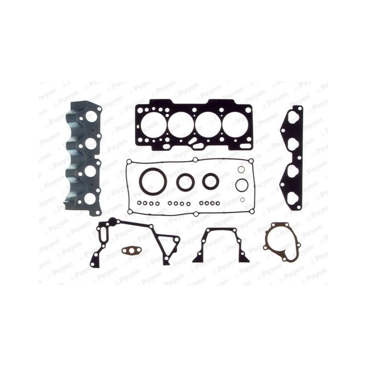 Visas tarpiklių komplektas, variklis PAYEN FG8060