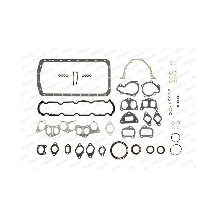 Visas tarpiklių komplektas, variklis PAYEN GJ720