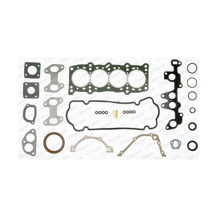 Visas tarpiklių komplektas, variklis PAYEN GP282