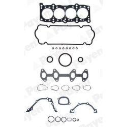 Visas tarpiklių komplektas, variklis PAYEN GP286