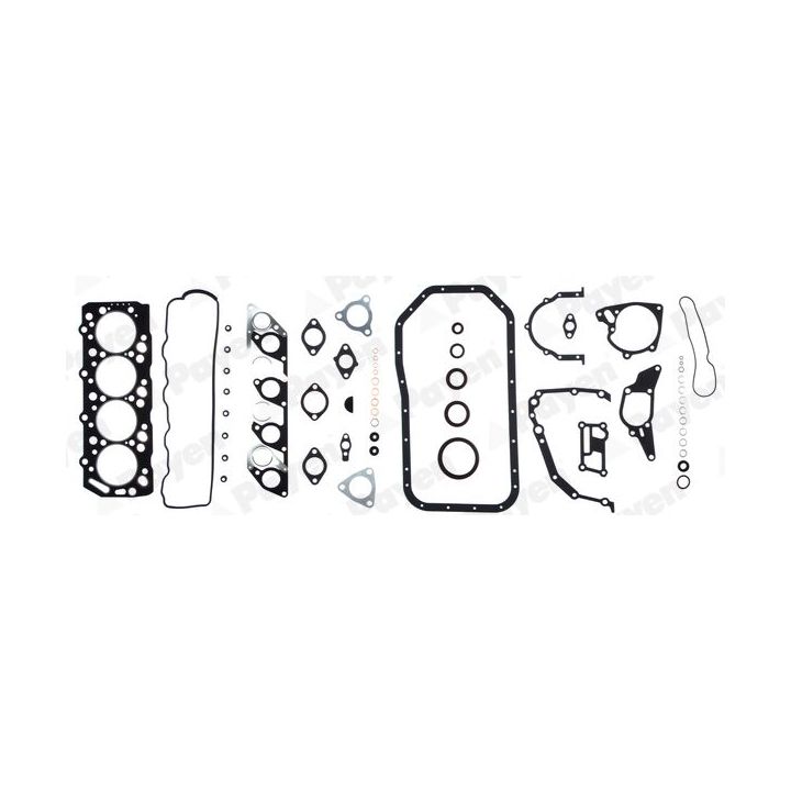 Visas tarpiklių komplektas, variklis PAYEN GS130