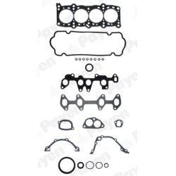 Visas tarpiklių komplektas, variklis PAYEN GV670