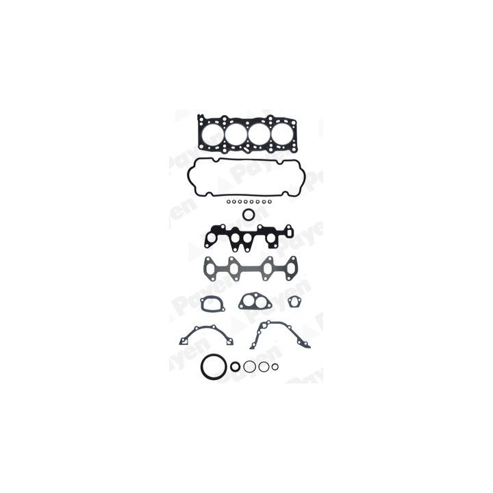 Visas tarpiklių komplektas, variklis PAYEN GV670