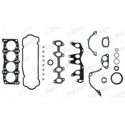 Visas tarpiklių komplektas, variklis PAYEN GV671