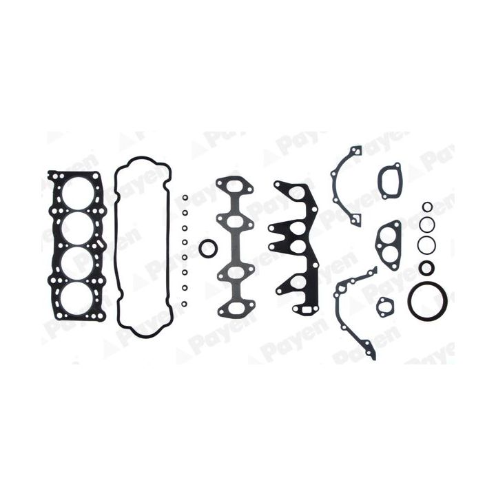 Visas tarpiklių komplektas, variklis PAYEN GV671