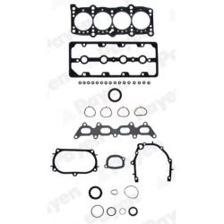 Visas tarpiklių komplektas, variklis PAYEN GY383