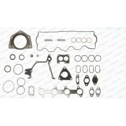 Visas tarpiklių komplektas, variklis PAYEN GZ790