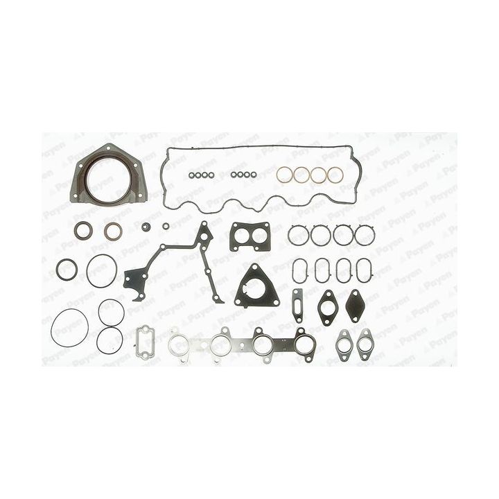 Visas tarpiklių komplektas, variklis PAYEN GZ790