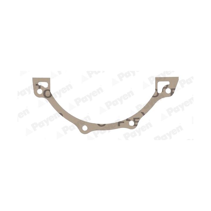 Tarpiklis, sinchronizatoriaus blokas PAYEN JR5057