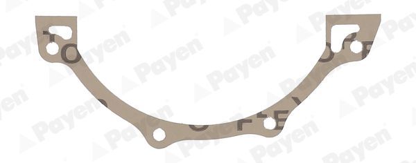 Tarpiklis, sinchronizatoriaus blokas PAYEN JR5057