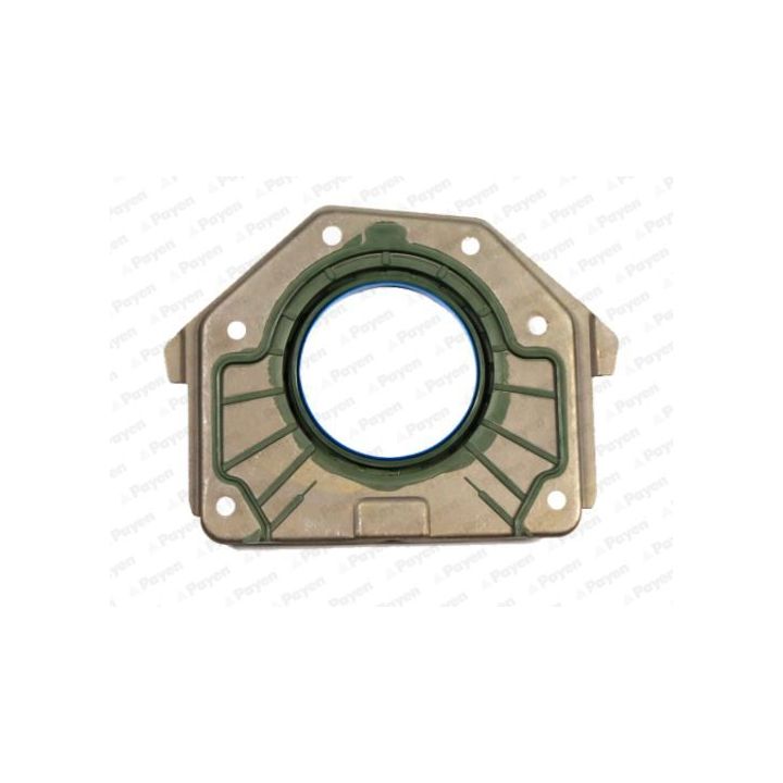 Veleno sandariklis, alkūninis velenas PAYEN LK5001