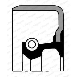 Veleno sandariklis, alkūninis velenas PAYEN NA5140