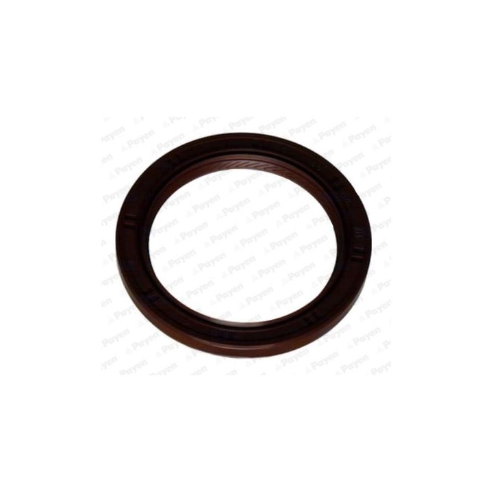 Veleno sandariklis, alkūninis velenas PAYEN NA5319