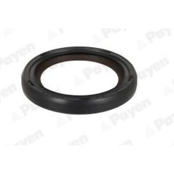 Veleno sandariklis, alkūninis velenas PAYEN NA5501