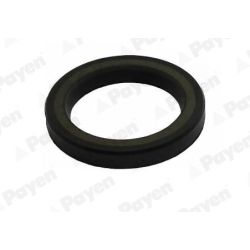 Veleno sandariklis, alkūninis velenas PAYEN NA5506