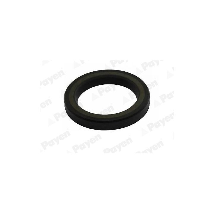 Veleno sandariklis, alkūninis velenas PAYEN NA5506