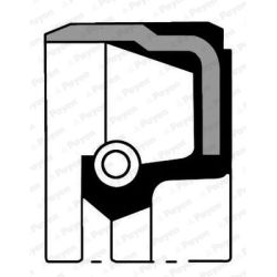 Veleno sandariklis, alkūninis velenas PAYEN NB848