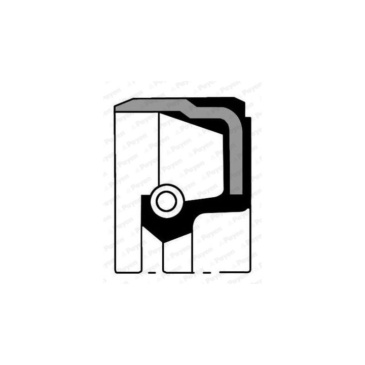 Veleno sandariklis, alkūninis velenas PAYEN NB848