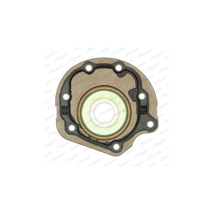 Veleno sandariklis, alkūninis velenas PAYEN NC086