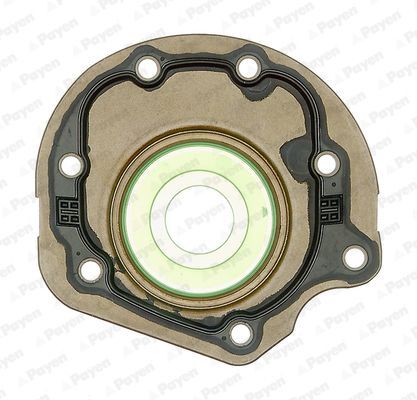 Veleno sandariklis, alkūninis velenas PAYEN NC086