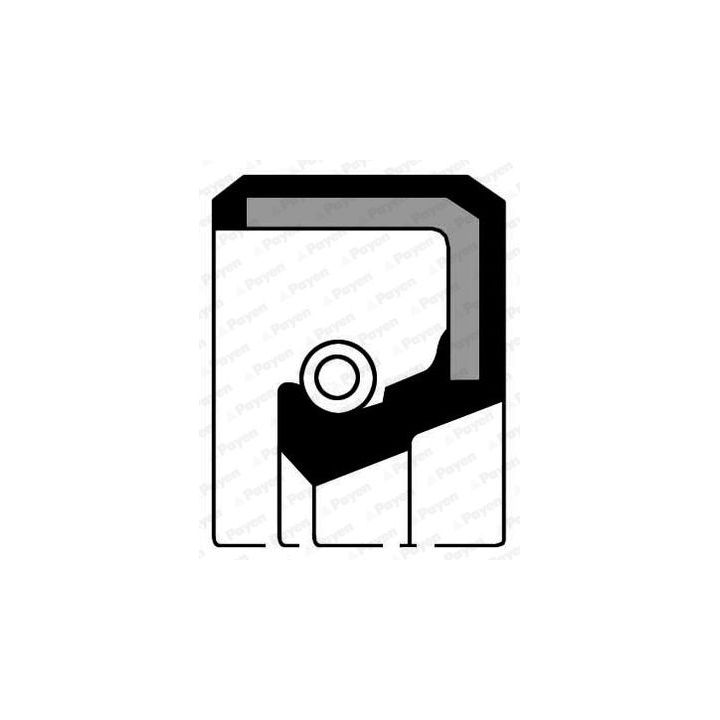 Veleno sandariklis, alkūninis velenas PAYEN NF634