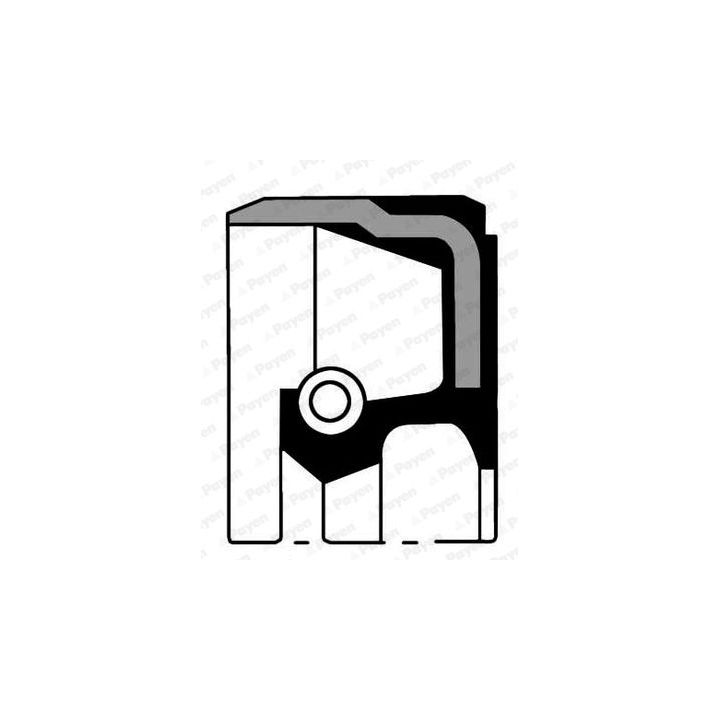 Veleno sandariklis, alkūninis velenas PAYEN NF833