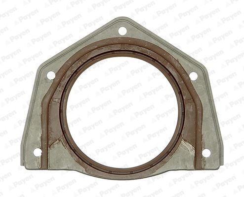 Veleno sandariklis, alkūninis velenas PAYEN NF888