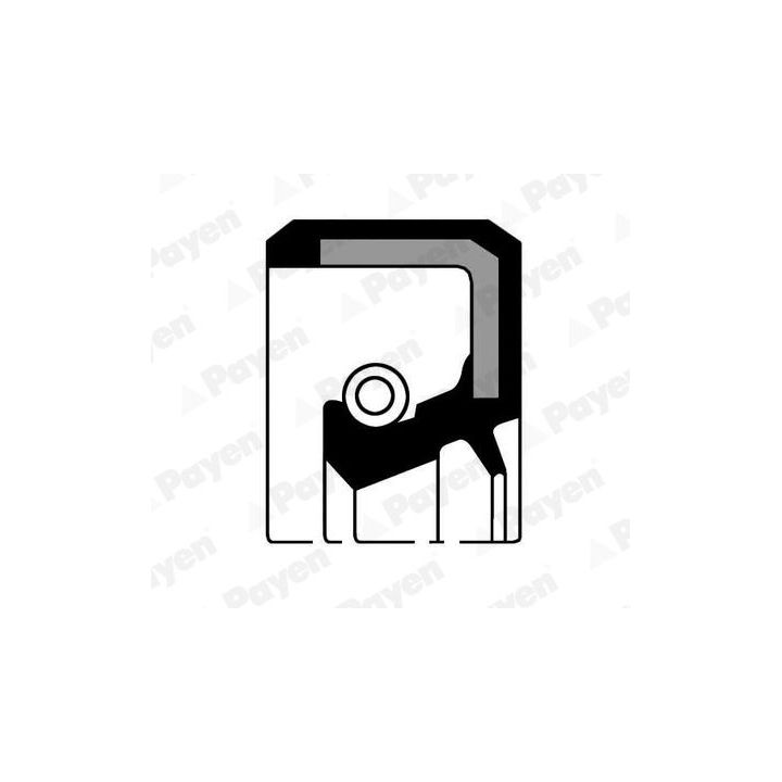 Veleno sandariklis, alkūninis velenas PAYEN NJ154